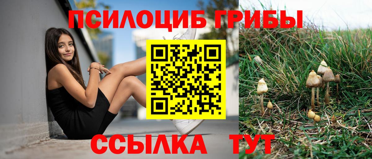 Псилоцибиновые грибы MAGIC MUSHROOMS Электросталь