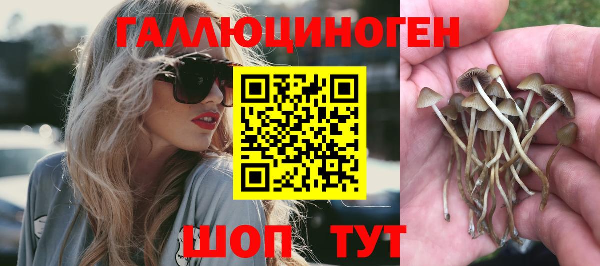 Псилоцибиновые грибы Psilocybe  Вход с VPN  Электросталь  Галлюциногенные грибы ЛСД 